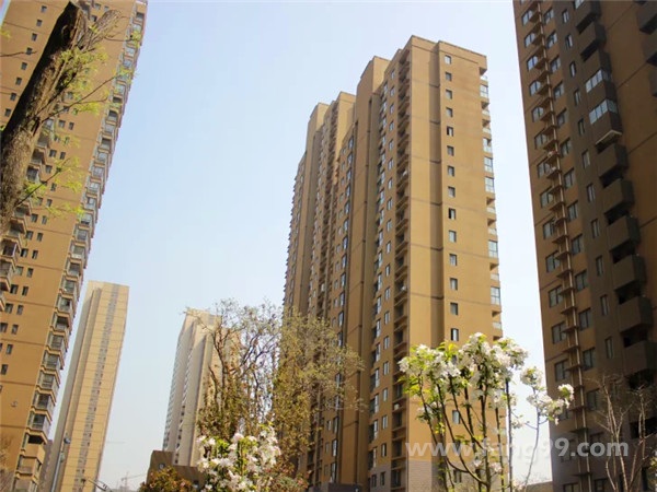 凤城九号实景图
