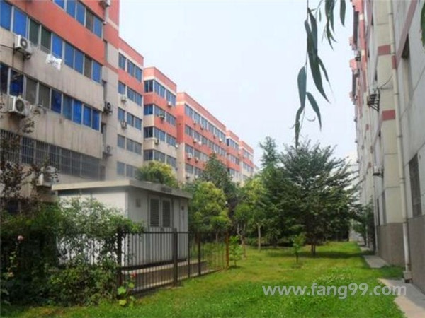 唐都温泉花园实景图