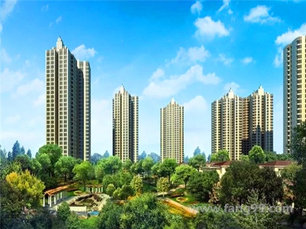 白桦林间效果图