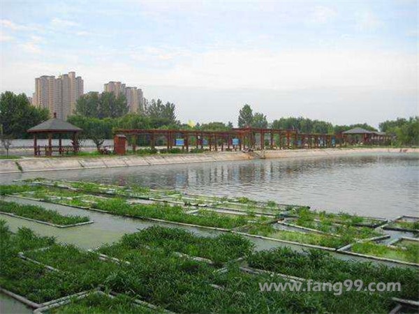 碧水怡兰周边配套图